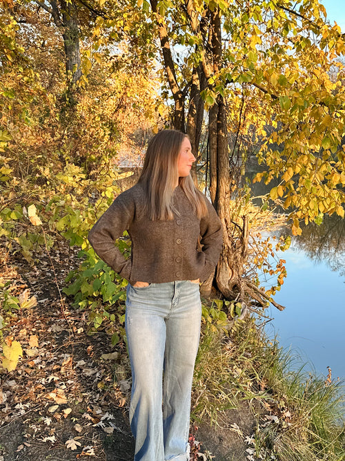 Cocoa Knit Button Up